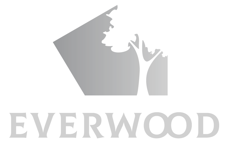 logo light